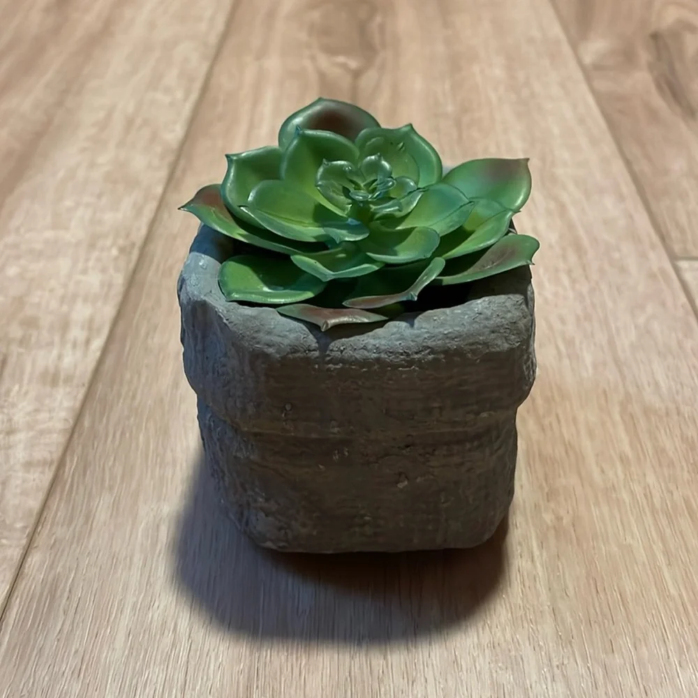 🌟Host Pick🌟Square Potted Faux Succulent